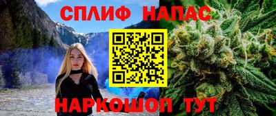 спиды Гатчина