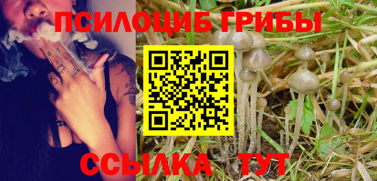 Нарткала  Галлюциногенные грибы GOLDEN TEACHER  Вход с VPN 